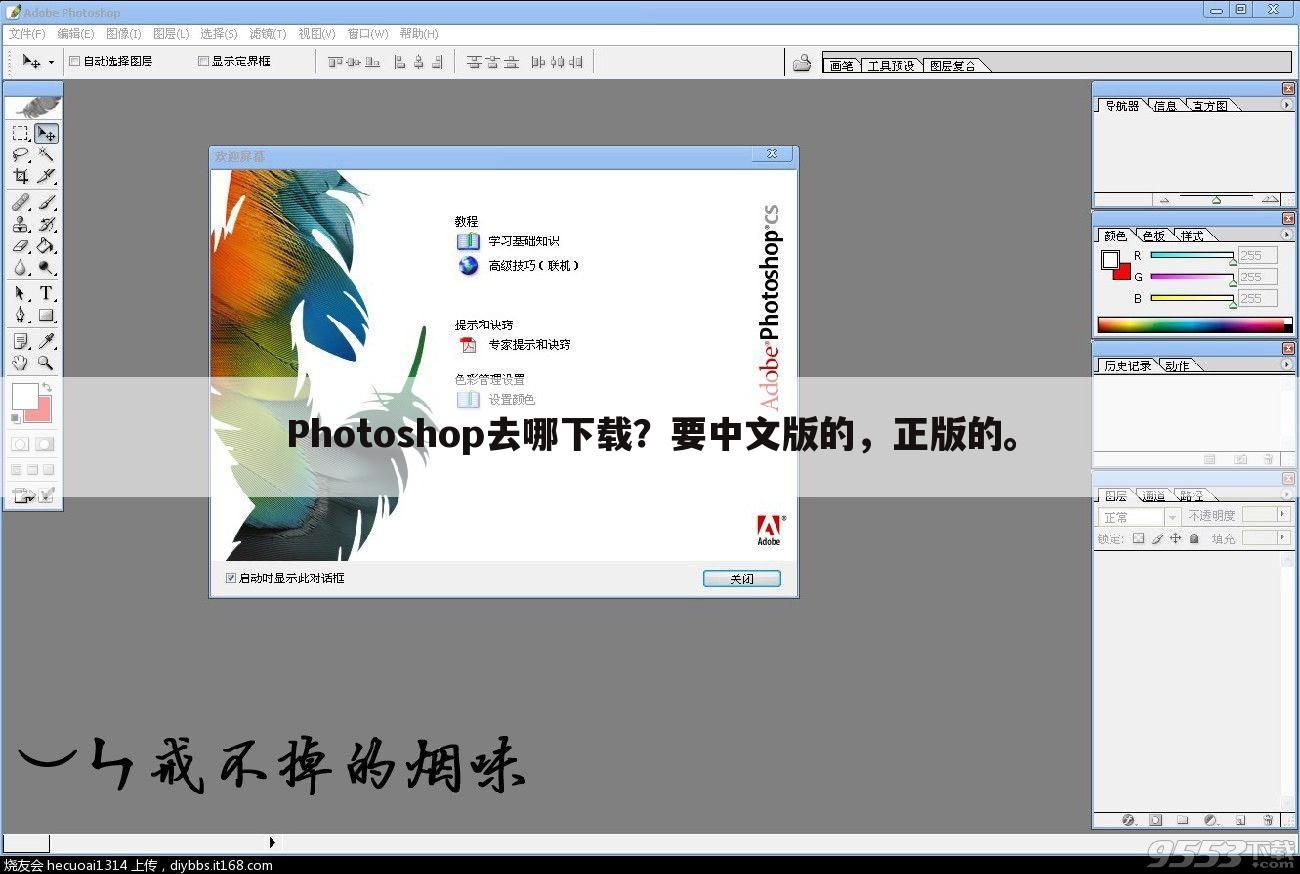 Photoshop去哪下载？要中文版的，正版的。