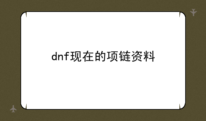 dnf现在的项链资料