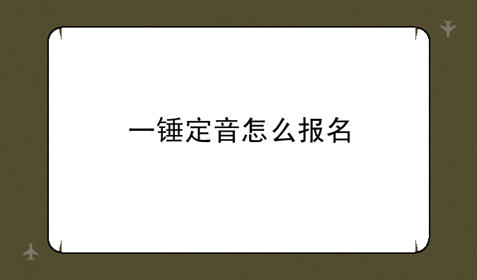 一锤定音怎么报名