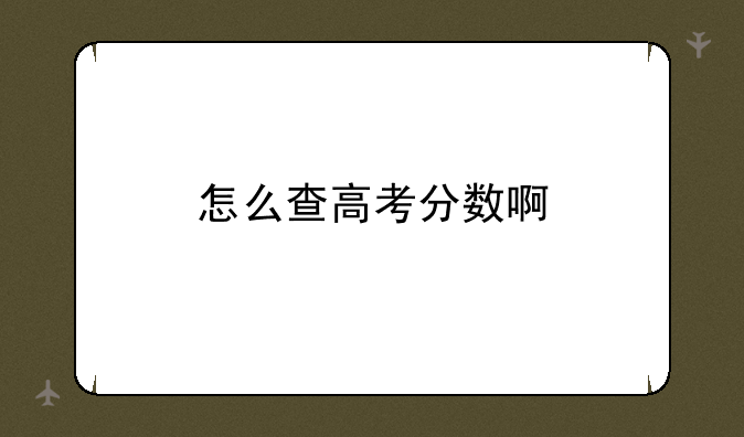 怎么查高考分数啊