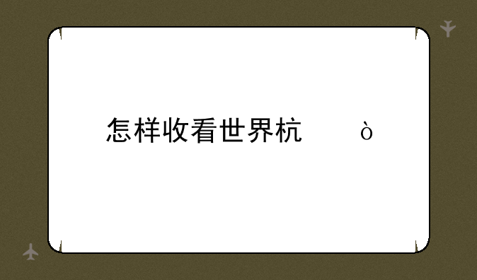 怎样收看世界杯？