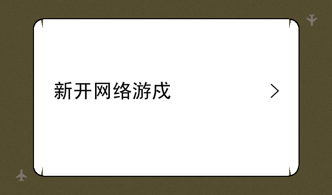 新开网络游戏公司