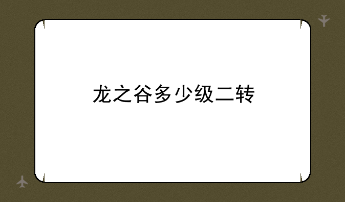 龙之谷多少级二转