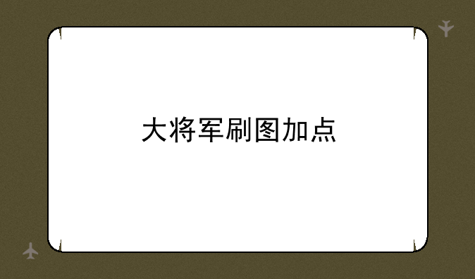 大将军刷图加点