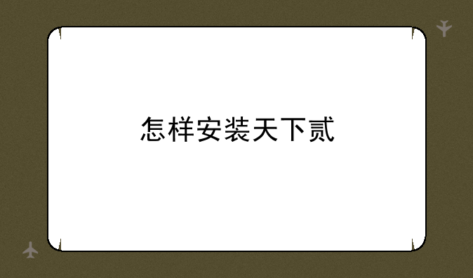 怎样安装天下贰