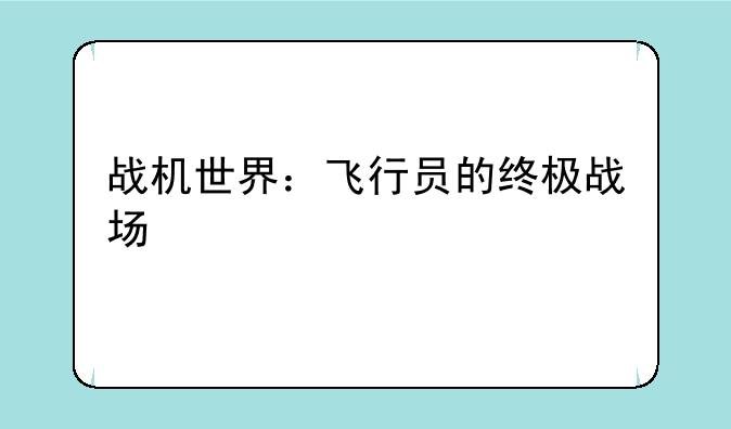 战机世界：飞行员的终极战场