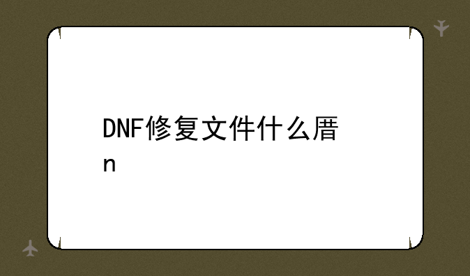 DNF修复文件什么原因