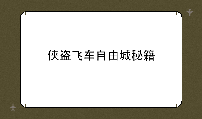 侠盗飞车自由城秘籍