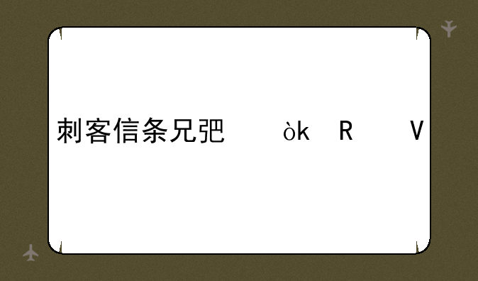 刺客信条兄弟会攻略