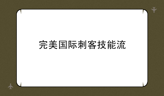 完美国际刺客技能流