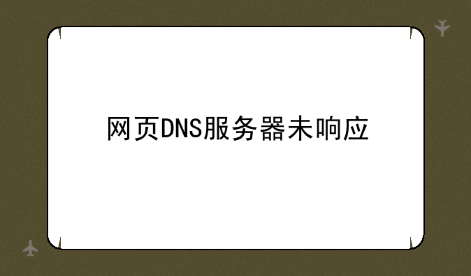 网页DNS服务器未响应