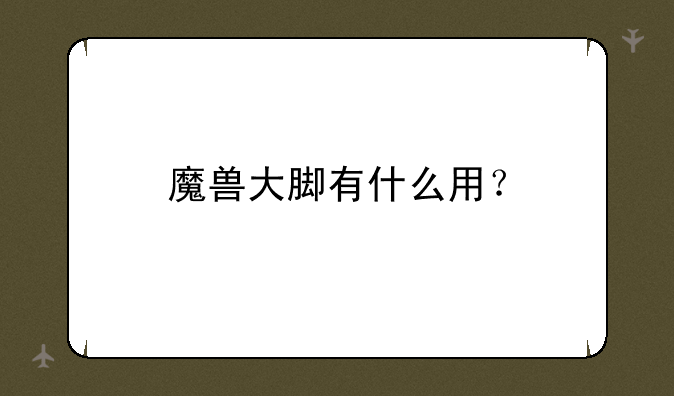 魔兽大脚有什么用？