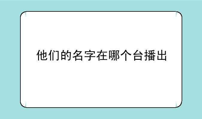 他们的名字在哪个台播出