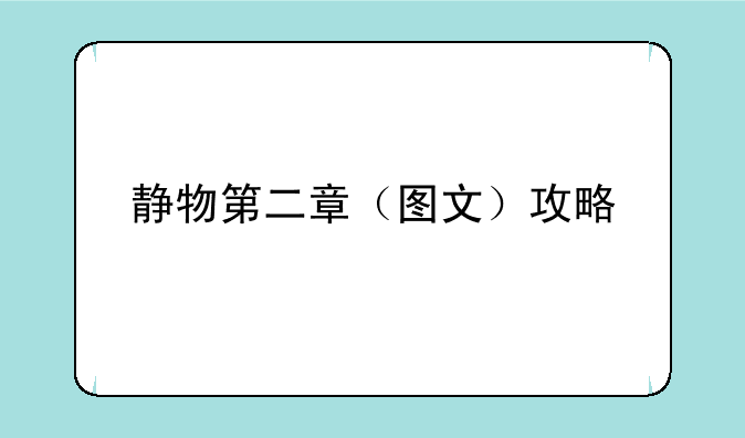 静物第二章（图文）攻略