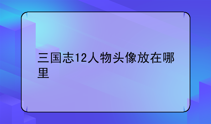 三国志12人物头像放在哪里