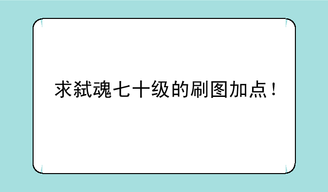 求弑魂七十级的刷图加点！