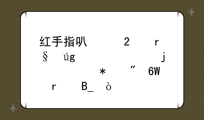 红手指可以挂机天龙八部的自动刷单本吗？