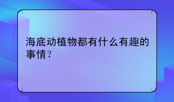 海底动植物都有什么有趣的事情？