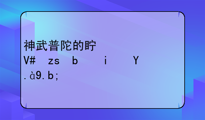 神武普陀的真元丹效果是是什么？