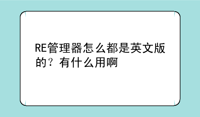 RE管理器怎么都是英文版的？有什么用啊