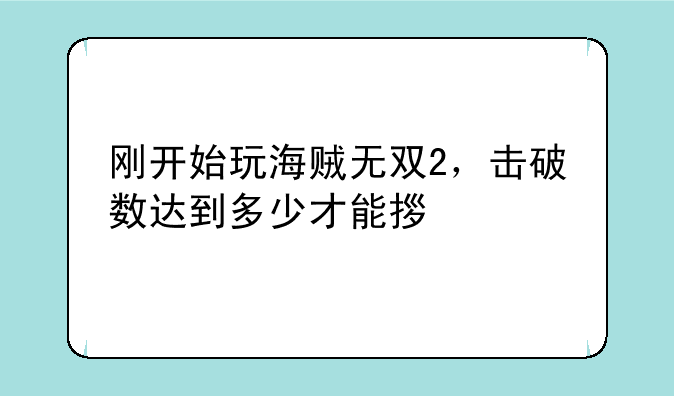 刚开始玩海贼无双2，击破数达到多少才能拿S