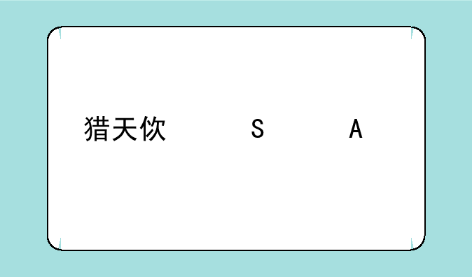 猎天使魔女PC版怎么调视角，设置方法介绍？