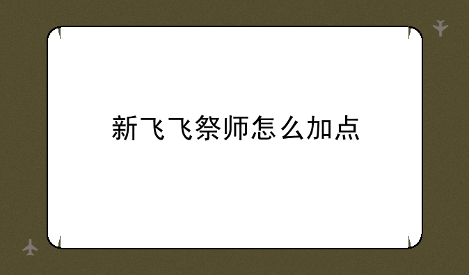 新飞飞祭师怎么加点