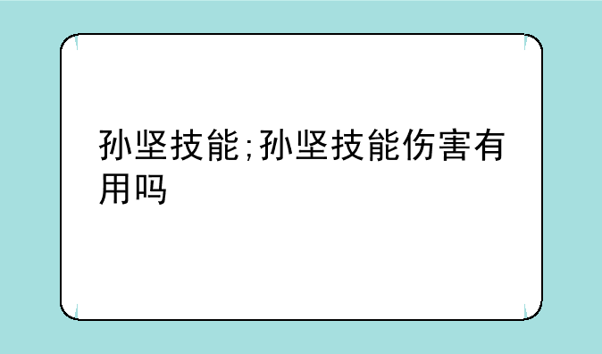 孙坚技能;孙坚技能伤害有用吗