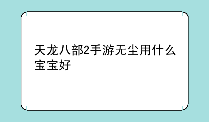 天龙八部2手游无尘用什么宝宝好