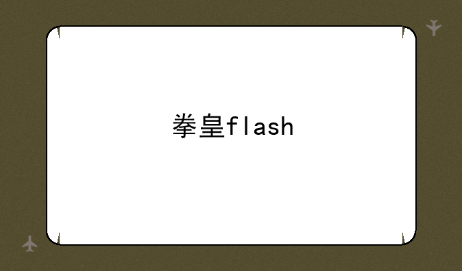 拳皇flash